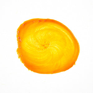 POP OF COLOR - tangerine